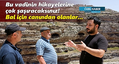 Karaman'daki bu vadinin hikayelerine çok şaşıracaksınız! Bal için canından olanlar...