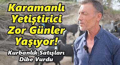 Karamanlı Yetiştirici Zor Günler Yaşıyor! Kurbanlık Satışları Dibe Vurdu