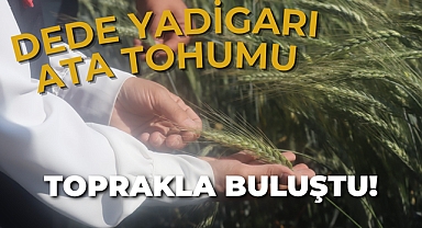 Burunoba Köyünde Dede Yadigarı Ata Tohum!