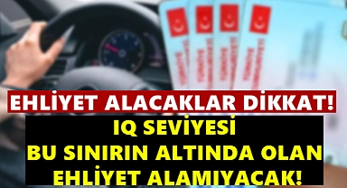 Ehliyet için zeka testi uygulanacak!