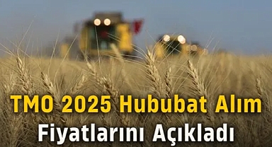 TMO 2025 Hububat Alım Fiyatları Belli Oldu