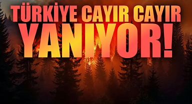 Bursa'da Dev Orman Yangını!