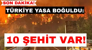 Eskişehir’de Orman Yangını: 10 ŞEHİDİMİZ VAR!