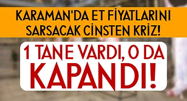 Karaman'da Mezbahane Krizi: Üretici ve Vatandaş Mağdur