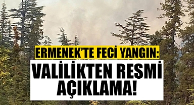 Valilikten Karaman'da Orman Yangınları Sonrası Açıklama!