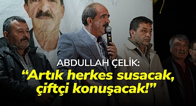 Abdullah Çelik ACIPINAR Mahallesinde Başkan Gibi Karşılandı