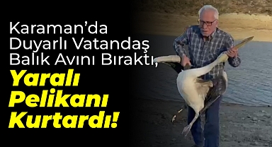 Karaman’da Duyarlı Vatandaş Balık Avını Bıraktı, Yaralı Pelikanı Kurtardı