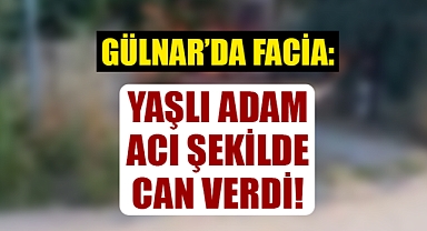 Gülnar'da yaşlı adam yangına kurban gitti!