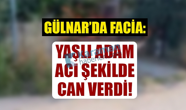 Gülnar'da yaşlı adam yangına kurban gitti!
