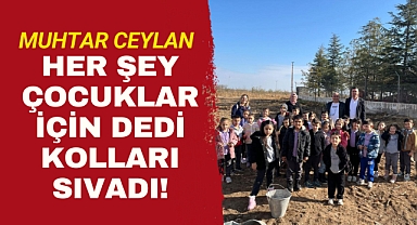 Karaman'ın bu köyünde orman alanlar yükselecek!