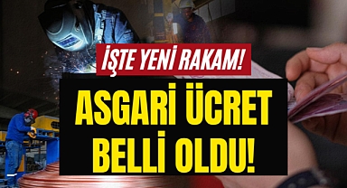 Asgari Ücret Belli Oldu: İşte Yeni Rakam!