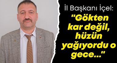 İl Başkanı İçel: ​