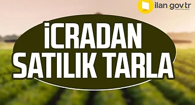 Karaman'da icradan satılık 19 bin metrekare tarla