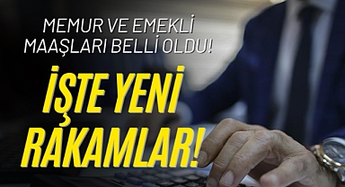 Memur ve Emekli Maaşları Artıyor: İşte Güncel Tablo!