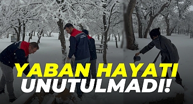 Karaman’da Yaban Hayatı Unutulmadı!
