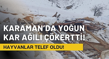 Karaman'da Yoğun Kar Ağılı Çökertti!