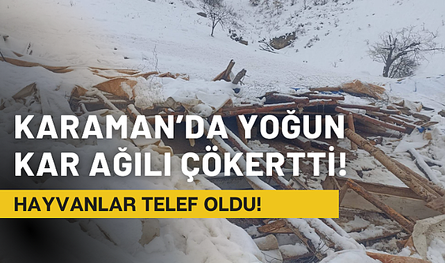 Karaman'da Yoğun Kar Ağılı Çökertti!