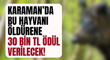 Kazımkarabekir Ziraat Odası'ndan Enteresan Açıklama!