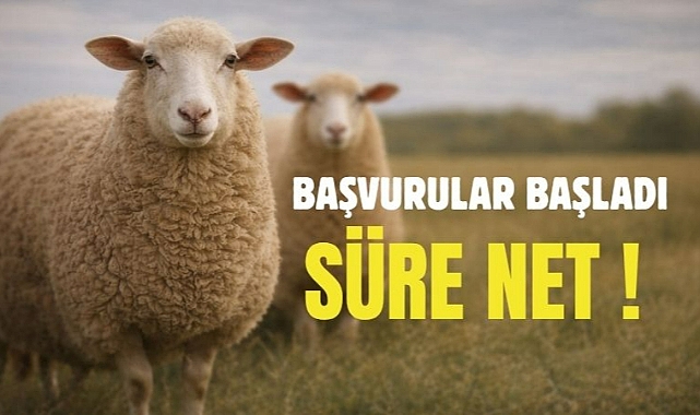 Başvurular başladı, süre net