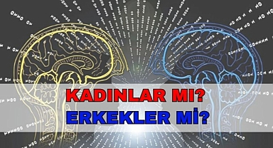 Erkekler mi yoksa Kadınlar mı?