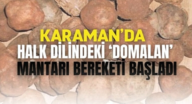 Karaman’da halk dilindeki domalan mantarı bereketi başladı