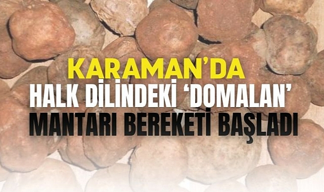 Karaman’da halk dilindeki domalan mantarı bereketi başladı