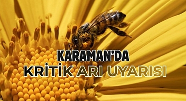 Karaman’da kritik arı uyarısı