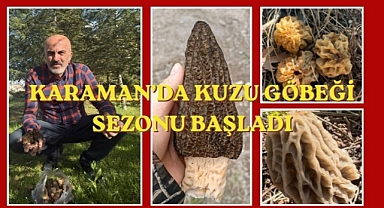 Karaman’da kuzu göbeği sezonu başladı