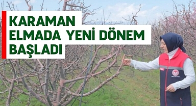 Karaman elmada yeni dönem başladı