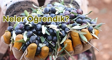 Neler öğrendik?