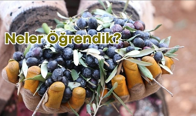 Neler öğrendik?