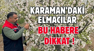 Karaman’da Elmacılar bu habere dikkat