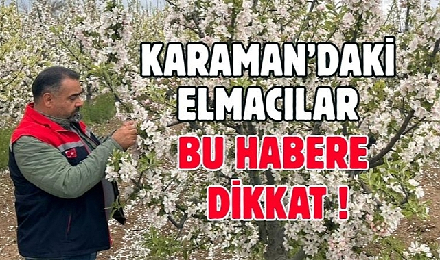Karaman’da Elmacılar bu habere dikkat