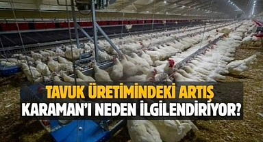 Tavuk üretimindeki artış Karaman’ı neden ilgilendiriyor?