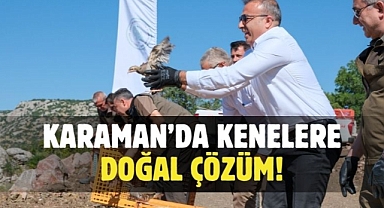 Karaman’da biyolojik mücadele seferberliği