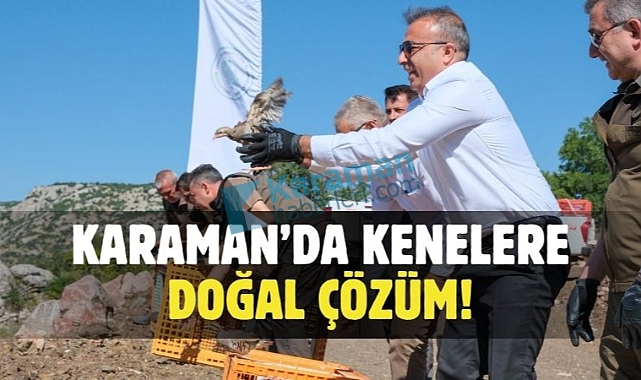 Karaman’da biyolojik mücadele seferberliği