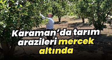 Karaman’da tarım arazileri mercek altında