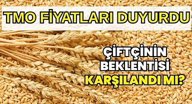 TMO 2026 Hububat Alım Fiyatlarını Açıkladı: Buğday ve Arpada Yeni Fiyatlar Belli Oldu