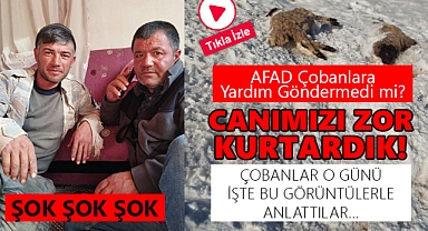 Tipiye yakalanan Çobanların İsyanı: Yardım Gelmedi!